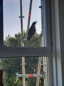Jacquelien 04 Jij hebt het ook warm